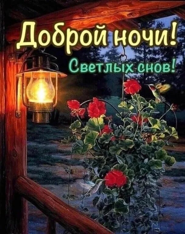 Спокойной февральской ночи. Доброй вам ночи. Хорошего вечера и сладких снов. Доброй ночи и светлого завтра. Добрым людям доброй ночи.