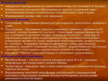 Ферменты поступают в организм с пищей
