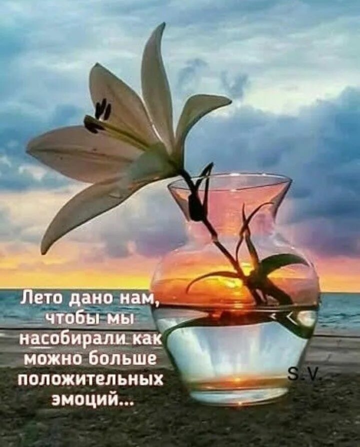 Фотографии Открытки на стенку #topCards Чудесные открытки Открытки, Цветочные ка