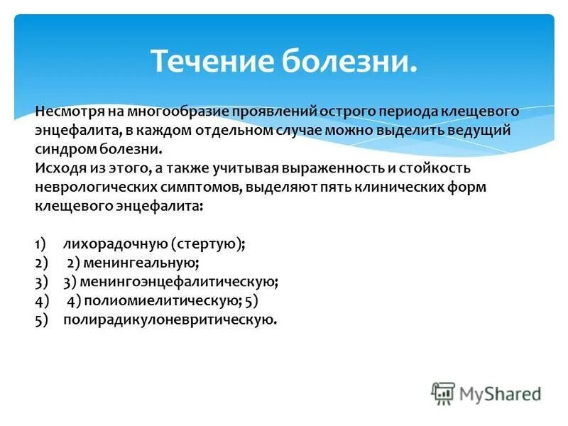 В чем проявляется многообразие. В чем проявляется многообразие