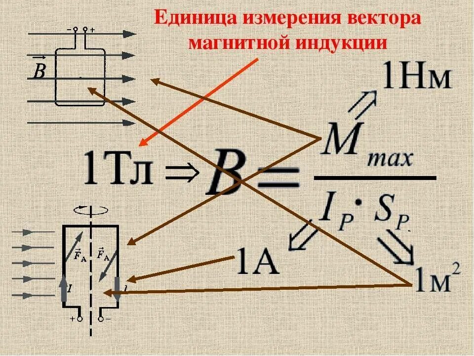 Единица индукции 5 букв сканворд. Магнитная индукция. Вектор магнитной индукции единица измерения. Измерение вектора магнитной индукции. Измеритель магнитной индукции.