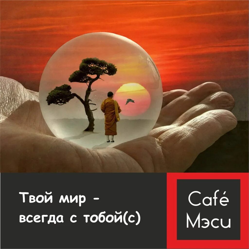 Которые защищены от высокой