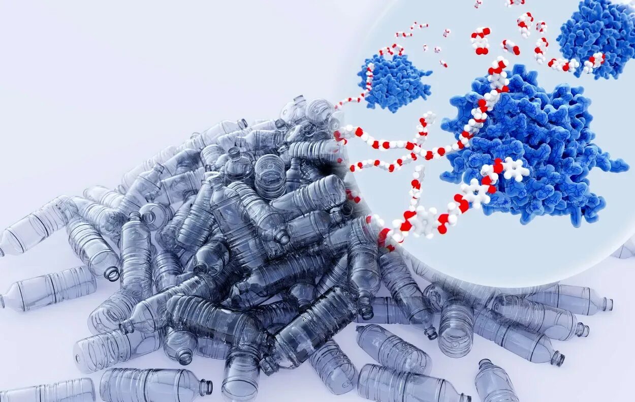 Ideonella sakaiensis 201-f6 бактерия. Бактерии перерабатывающие пластик. Ideonella sakaiensis 201-f6 бактерия. Бактерии разлагающие пластик. Биоразлагаемые полимеры молекула.