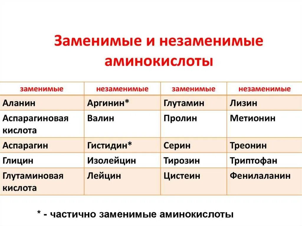 Все незаменимые аминокислоты. 20 аминокислот заменимые и незаменимые. из перечисленных аминокислот является незаменимой аминокислотой. неза енимые аминокислоты. аминоксилоты замен мые и нещаменивые.