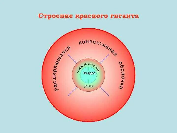 Внутреннее строение гигантов. Строение звезд красных гигантов и сверхгигантов. внутреннее строение красного сверхгиганта. строение звезды красный гигант. внутреннее строение красного гиганта.