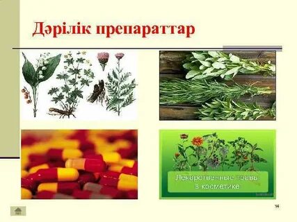 Настя Каменскихтің аяқ фетиші