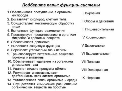 Органы выполняющие общую функцию это
