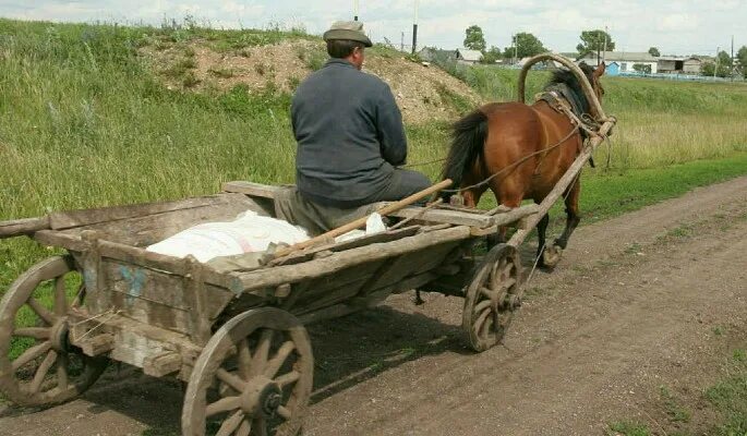 Гужевой скот селян. Телега с лошадью. Телега деревенская. Конь с телегой. Старая телега для лошади.