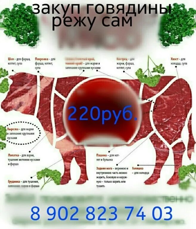 Куда можно сдать мясо говядины. Куда можно сдать мясо говядины. Куда можно сдать мясо говядины. Закупаю мясо крс визитки. Свинина куски мяса название.