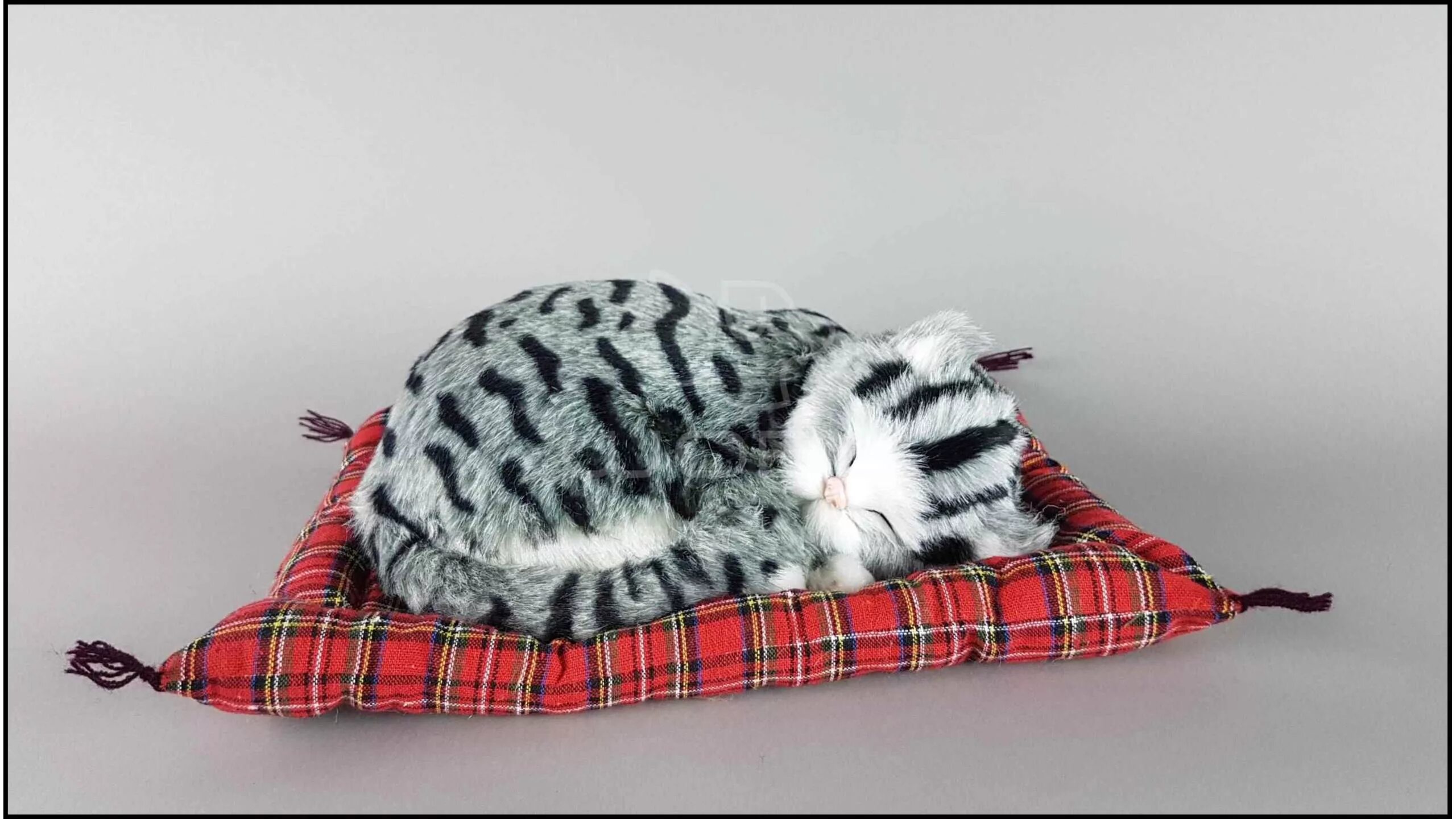 подушка сплюшка спящий котенок. подушка спящий котик. кошка спит на подушке. котенок спит на подушке. котик спит на подушке.