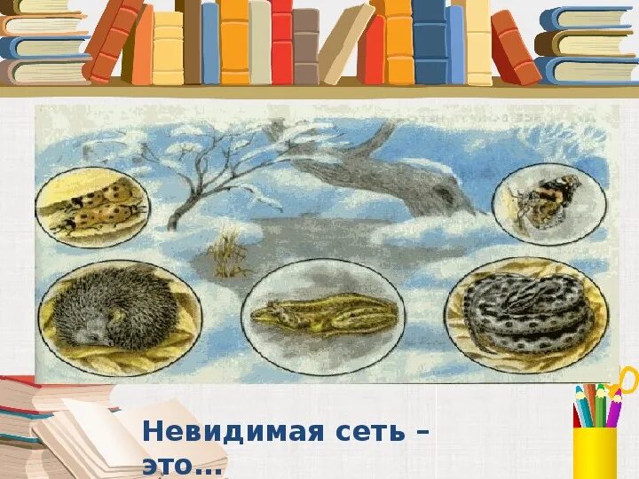 Сеть незаметно. Невидимая сеть и невидимая пирамида 3 класс. невидимая сеть и невидимая пирамида окружающий мир 3 класс. рисунок невидимая сеть невидимая 3 класс. невидимая сеть и невидимая пирамида 3 класс плакат.