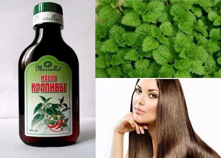 Крапива для сухих волос