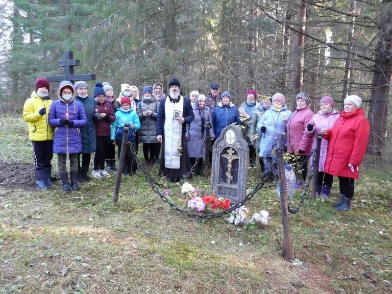 Полдарса фото. Деревня полдарса вологодская область. Поселок полдарса. Река полдарса. Полдарса вологодская область.