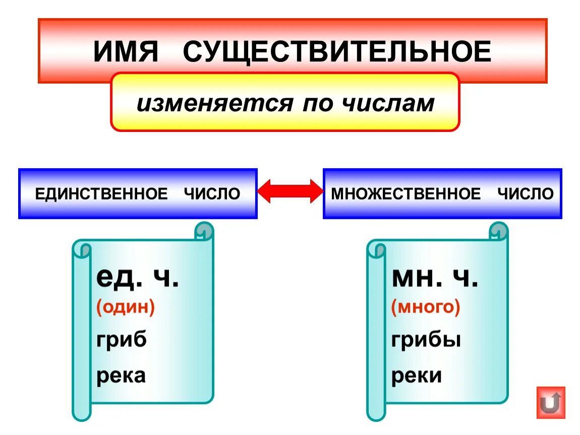 Определить единственное и множественное число существительных. Множественное число имен существительных 2 класс. Таблица единственное и множественное число имен существительных. Ед и мн число имён существительных 3 класс. Правило изменение имен существительных по числам 3 класс.