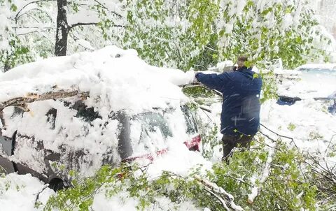 Снегопад стихийное бедствие