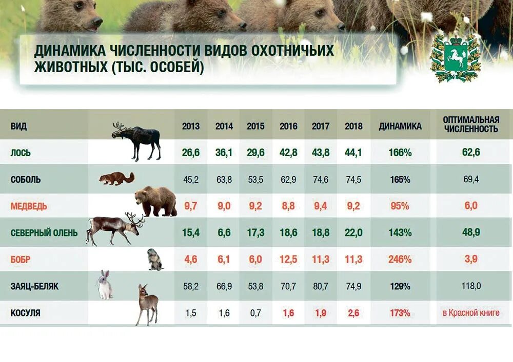 Дикие какое число. Численность диких животных. Статистика охотничьих животных. Численность животных в России. Учет охотничьих животных.