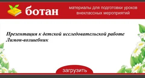 Лимон волшебник исследовательская работа презентация