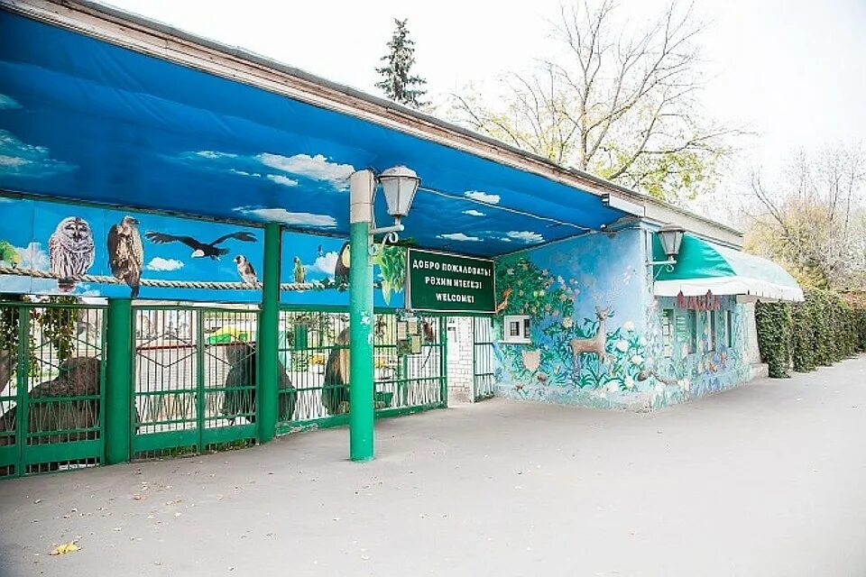 Зоопарк казань река замбези. Река замбези, казанский зооботанический сад, казань. Казанский зооботанический сад река замбези. Казанский зооботсад казань. Казанский зоопарк адрес.