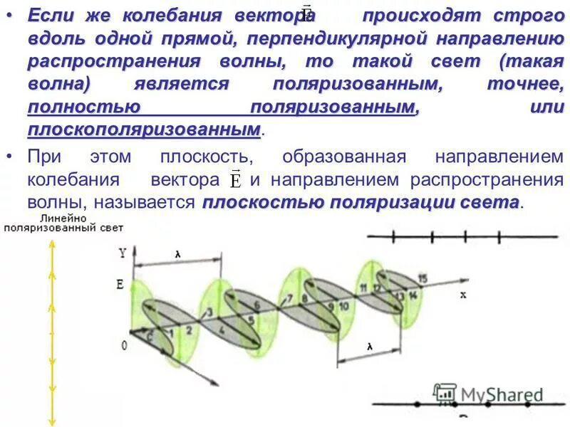 Определите тип волны. Поперечные волны. Направление распространения волны. Поперечная волна и продольная волна. Направление колебаний частиц среды поперечной волны и продольной.