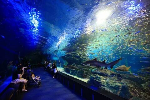 1 ocean world