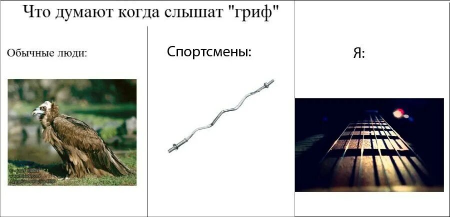 Гриф значение. Мемы гриф. гриф прикол. гриф смешной. шутки про гриф.
