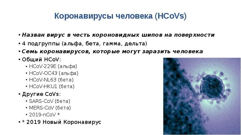 Короновирусная инфекция в орловской области. Короновирусная инфекция характеристика вируса. Коронавирус Альфа бета гамма. Короновирусная инфекция презентация. Коронавирусная инфекция реферат.