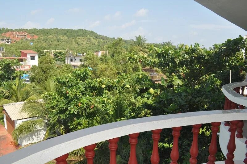 Oasis resort гоа морджим. Oasis resort гоа морджим. Morjim beach resort индия отель. Oasis 2 морджим. Oasis 2 морджим.