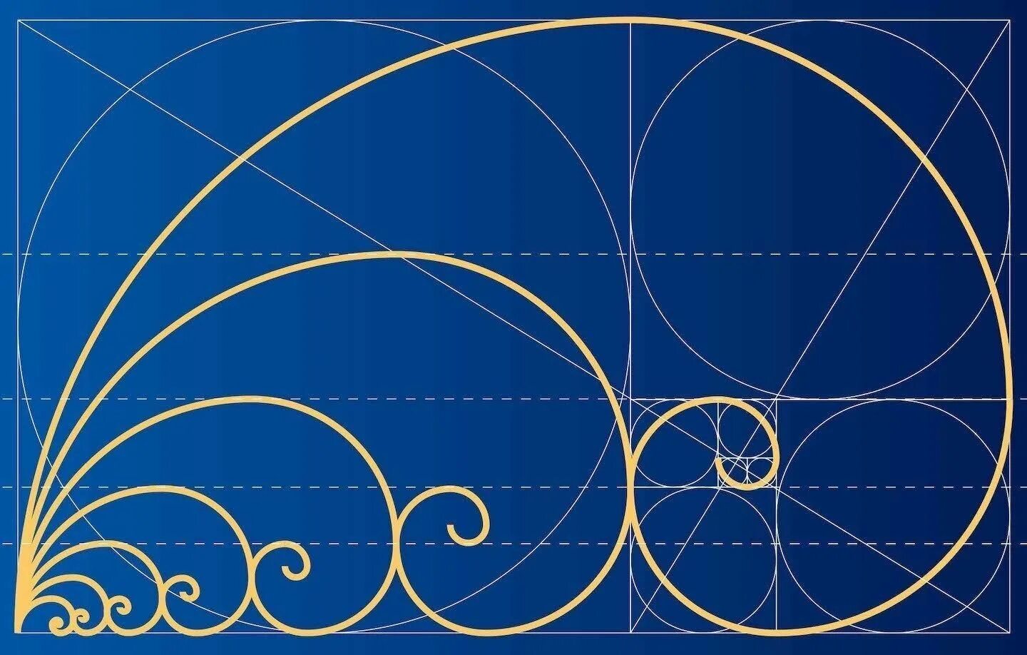 Золотое сечение просто. Золотое сечение golden ratio. золотая спираль фибоначчи. 1.61 золотое сечение. спираль фибоначчи в днк.