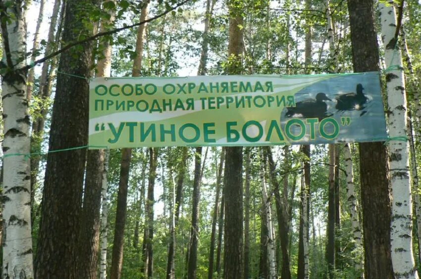 Найти особо охраняемые территории. Экологическая тропа утиное болото пермь. утиное болото пермь оопт. особо охраняемые природные территории (оопт). особо охраняемых природных территорий (оопт).