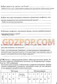 Лабораторная работа по биологии функциональная проба