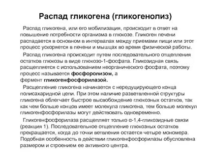 Мобилизация гликогена в печени