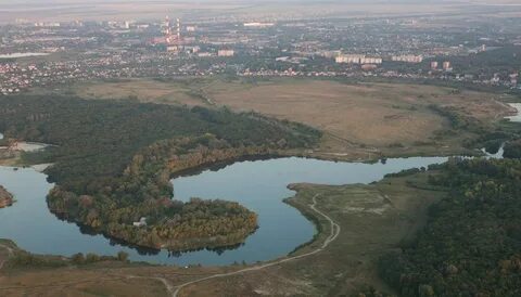Впадающая в куру