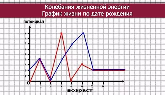Рассчитать жизнь по дате рождения. График жизненного цикла по дате рождения. график циклов жизни по дате рождения. построение графика жизненного цикла по дате рождения. график жизни по дате рождения рассчитать.