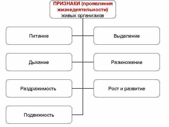 Основные признаки жизнедеятельности