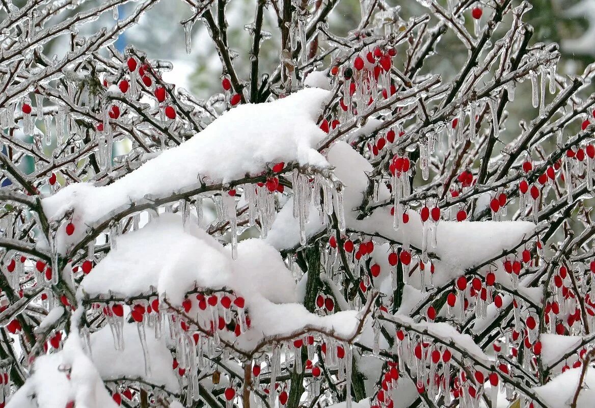 Зима заканчивается. Песня просто кончилась зима. Зима заканчивается. Зима заканчивается. Ну здравствуй декабрь.