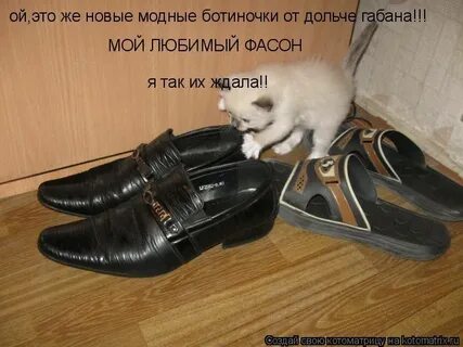 Приколы про обувь