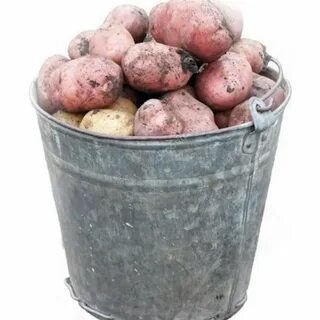 10 литров картофеля в кг