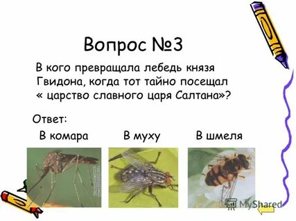 Сколько раз и в кого превращался