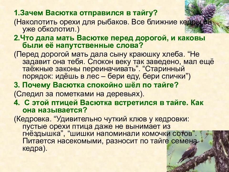 В чем васютка видел свое спасение. Характеристика васютки. сочинение по теме тайга. сочинение о тайге. васюткино озеро васютка в тайге.