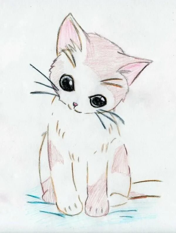 Милые котики рисунки легко и красиво. Милые рисунки легкие. Милые рисунки карандашом. Милые рисунки для срисовки. Милые рисунки для срисовки лёгкие.