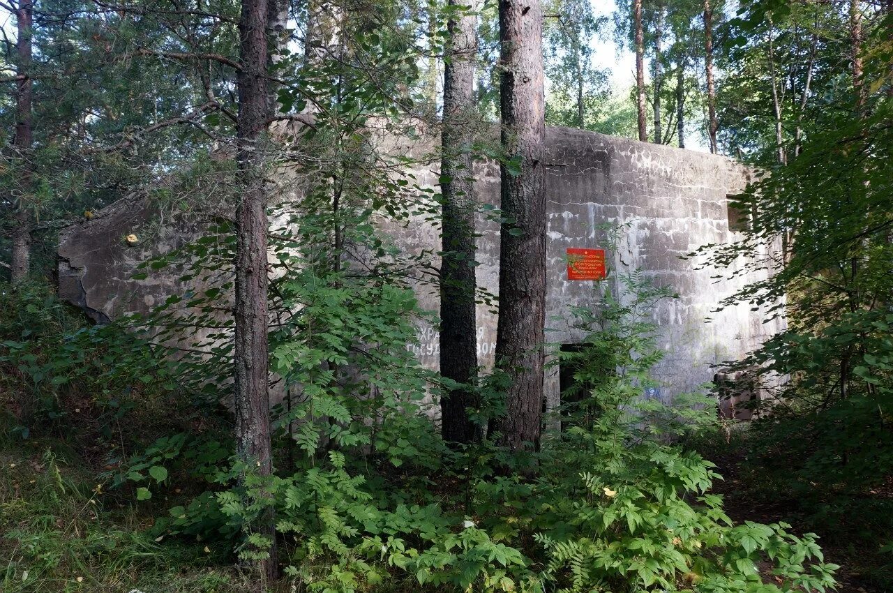 Форт красная горка. Красная горка сосновый бор. Форты сосновый бор. Форты сосновый бор. Красная горка сосновый бор.