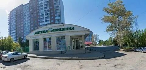 Авиценна запольная
