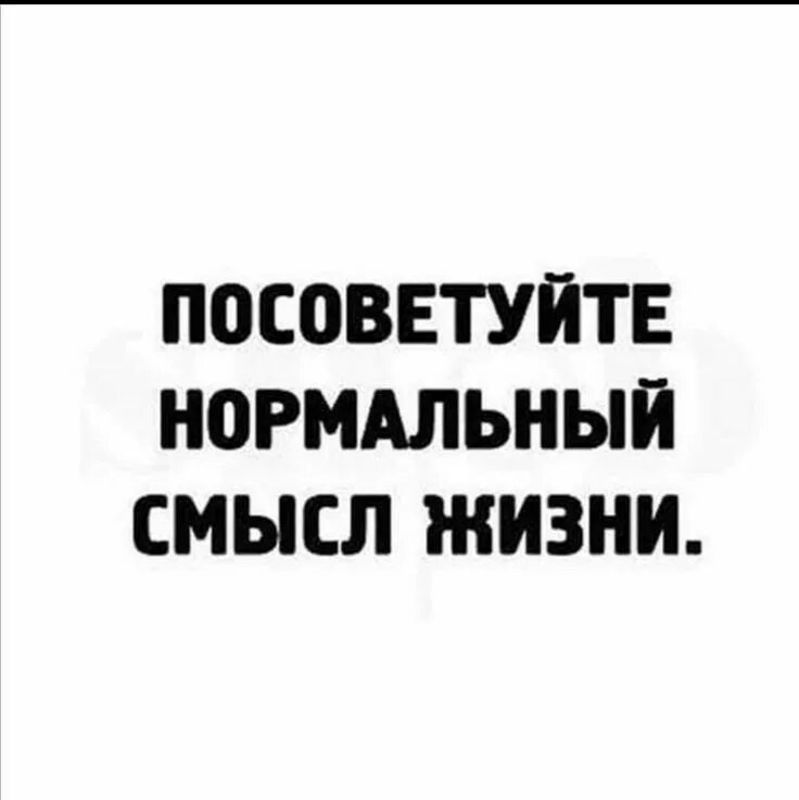 Смысл жизни анекдоты. Посоветуйте нормальный смысл жизни. Смешные картинки из новостей.