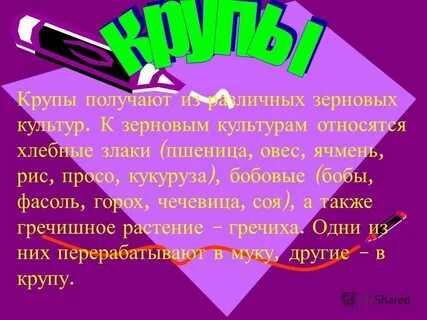 К зерновым культурам относятся пшеница рис
