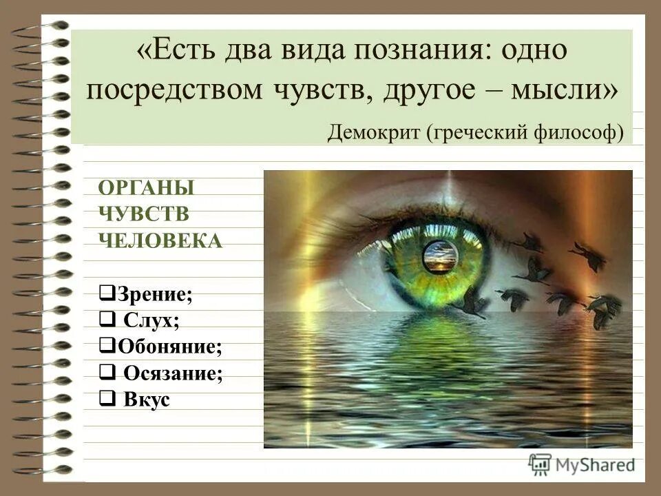 Познание авторы познания. Презентация на тему познание. Чувства познания. Существует две формы познания.