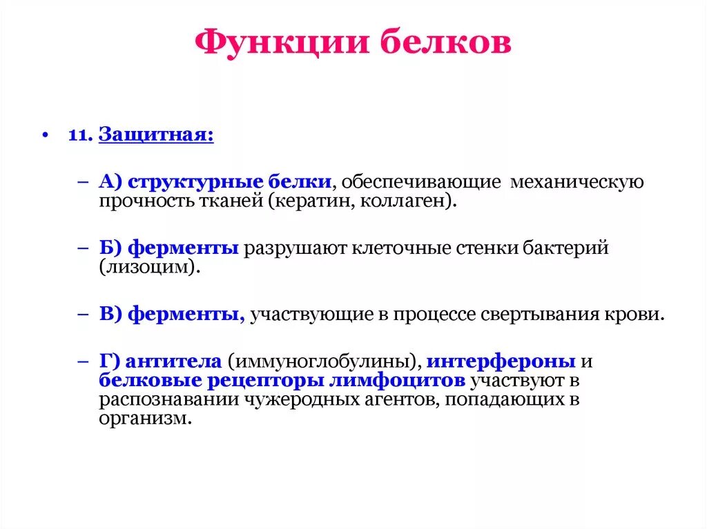 Белки механическая функция. Белок защитная функция. Функции белка в бактериальной клетке. Защитную функцию белков выполняют. Лизоцим функция белка.