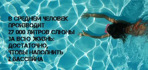 Плавание афоризмы