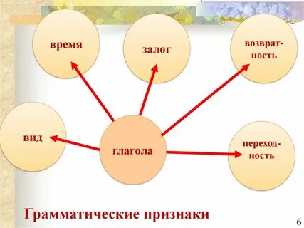 Глагол грамматические признаки глагола виды глагола