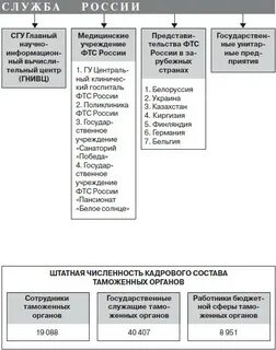 Структура гтк