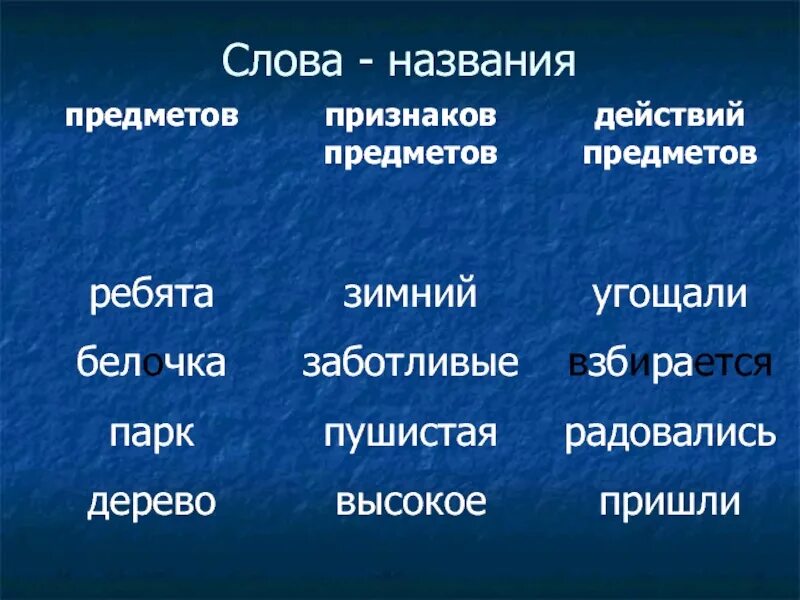 Найти предмет признак действие. Названия признаков предметов. Слова названия предметов. Обозначающие названия предметов. Слова предметы и явления.